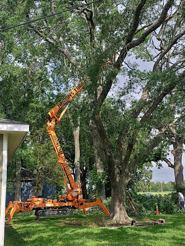 Justin's Tree Service & Stump Grinding in Groves, TX