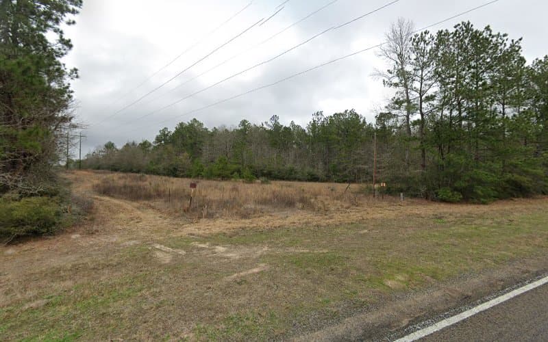 Martindale Real Estate in Village Mills, TX