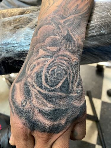 Mule Lip Tattoo Studio