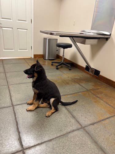 EasTex Veterinary Clinic