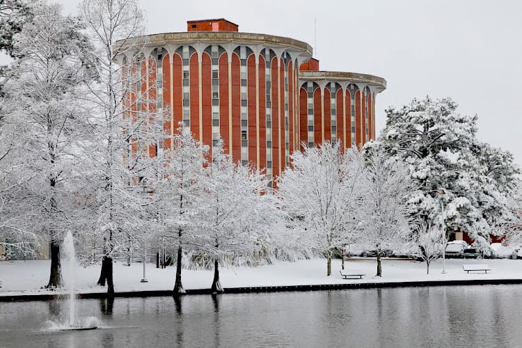 Steen Hall