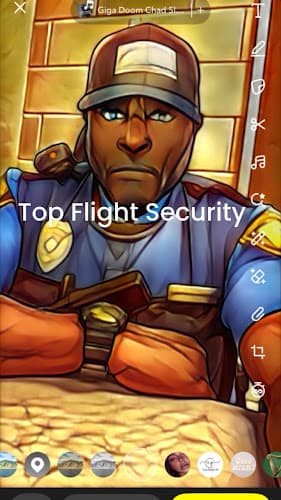 Top Flight Security