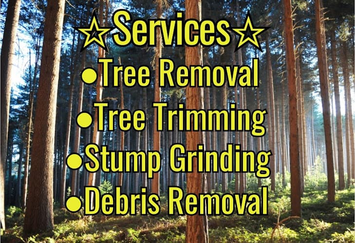 Right Choice Stump Grinding, Tree Service & Construction