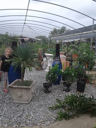 Al Cook Nursery & Landscaping in Beaumont, TX