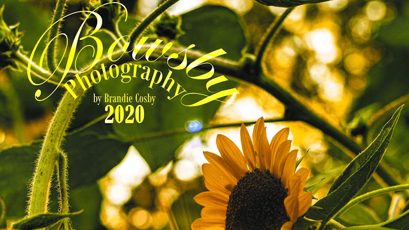 Bowsby Photography
