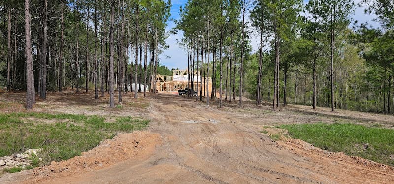 Rolling pines drive in Livingston, TX