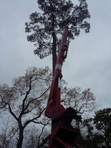 Drewery Construction Co., Inc. & Drewery Bros. Tree Service in Nacogdoches, TX