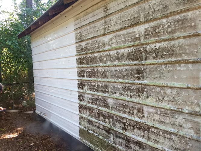 C and C Pressure Washing in Port Neches, TX