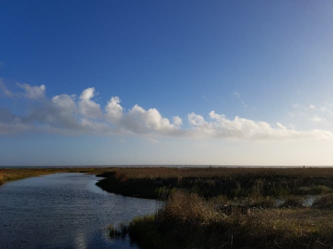 Sea Rim State Park