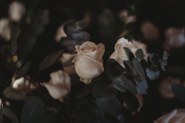 Larris Leleaux Photography