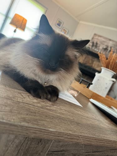 Trinity Pet Clinic