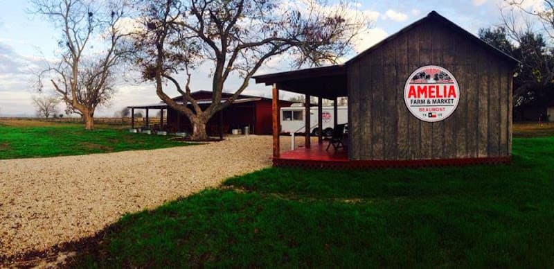 Amelia Farm and Market in Beaumont, TX