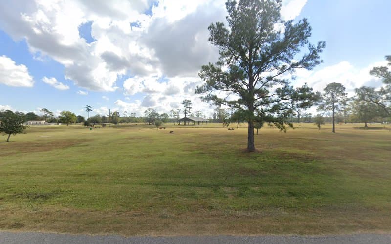 Tyrrell Park Basketball Court in Beaumont, TX