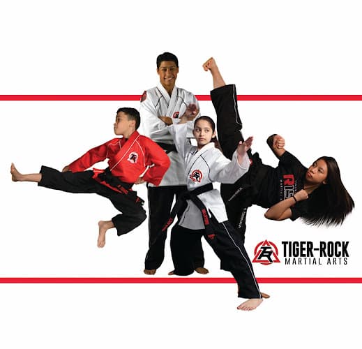 Tiger Rock Martial Arts of Orange