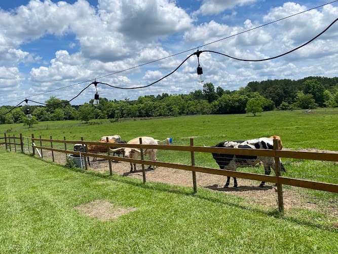 Tempe Creek Vineyard in Livingston, TX