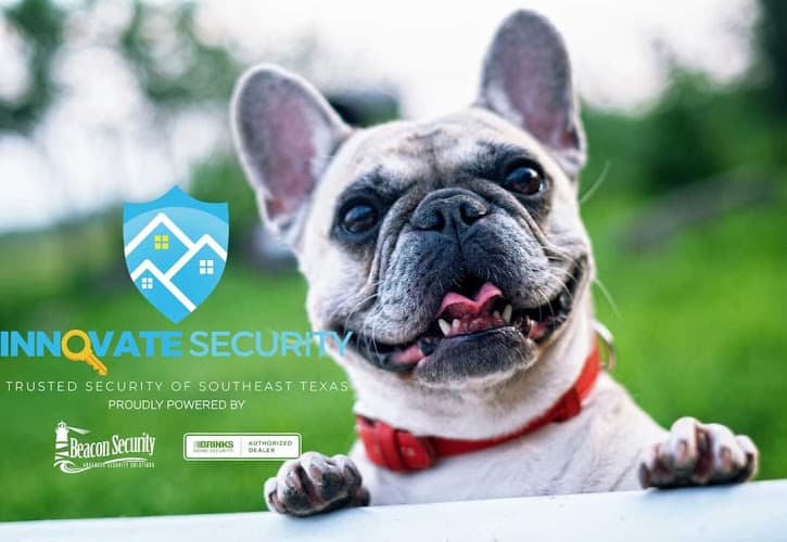 Innovate Security Company