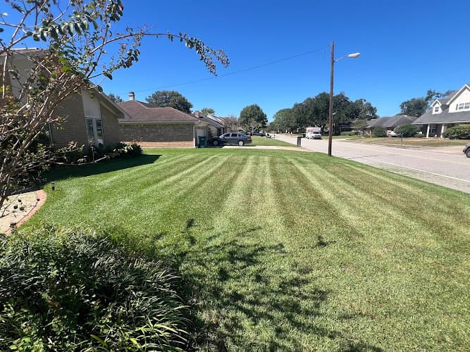True Lawn Care in Port Arthur, TX