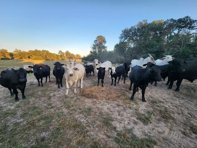 Leyva Family Ranch