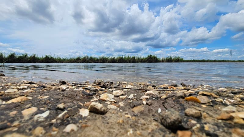 Lower Neches WMA in Bridge City, TX