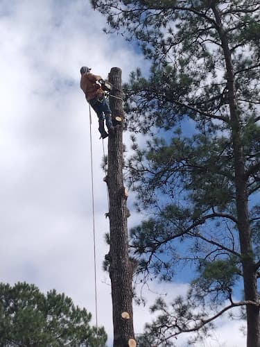 Out On A Limb Tree Care in Port Arthur, TX