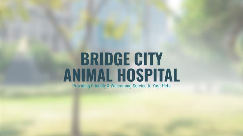 Bridge City Animal Hospital