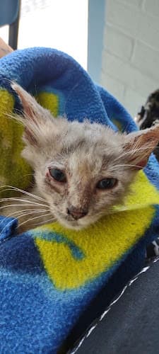 McGowan Veterinary Hospital in Vidor, TX