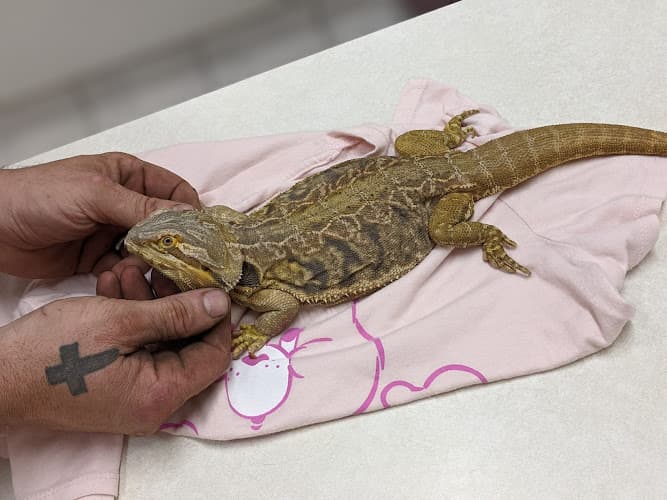 CareVet of Mid County in Nederland, TX