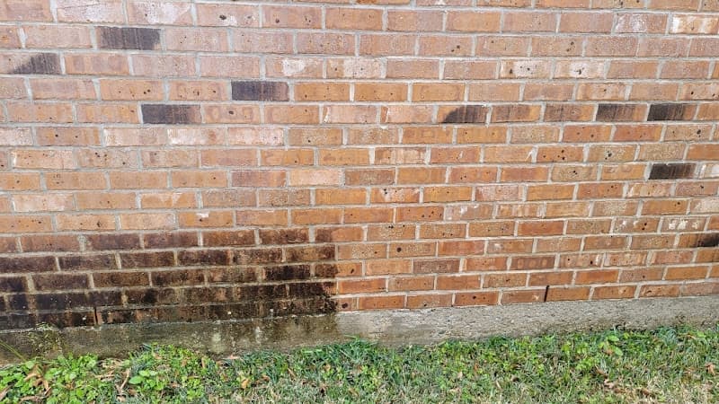 Palm Street Pressure Washing