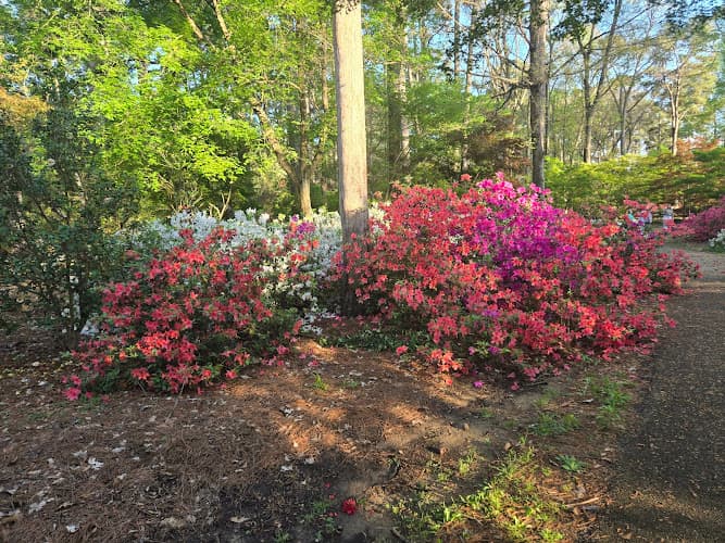 Ruby M. Mize Azalea Garden