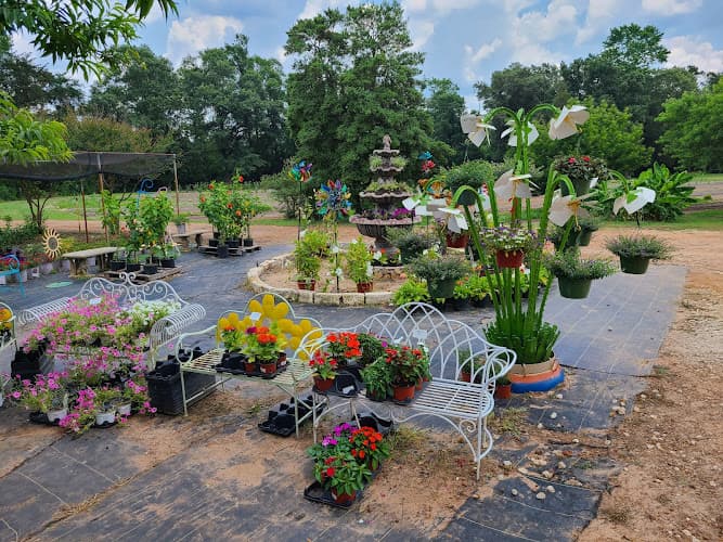The Lily Farm