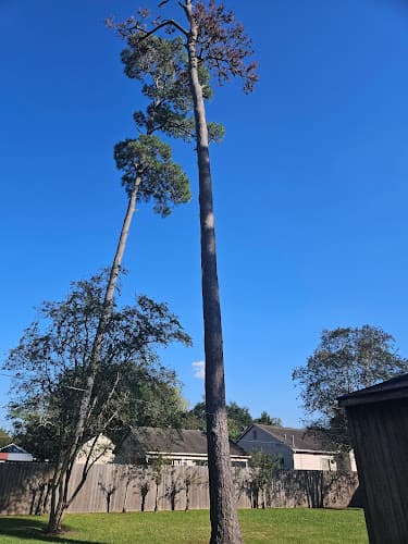 Good hands Tree service