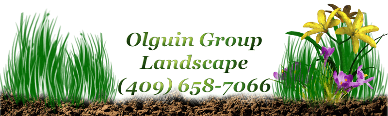 Olguin Group Landscaping