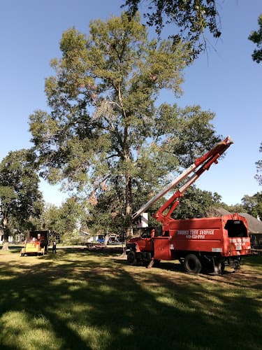 Torres Tree Service in Orange, TX
