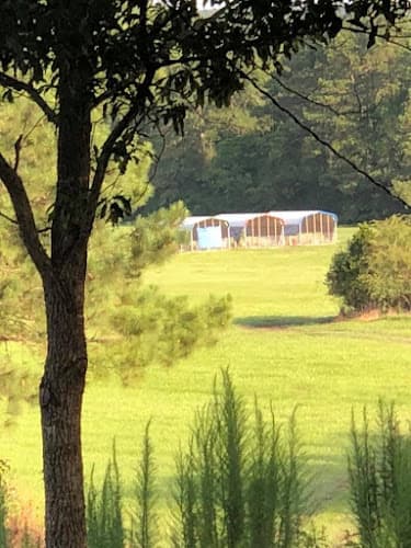Caliber Creek Ranch LLC