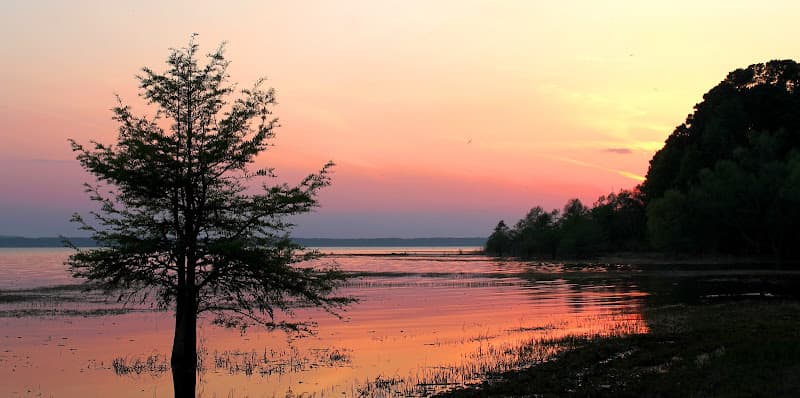 Gina Edgar Stewart, Realtor Toledo Bend/Sam Rayburn