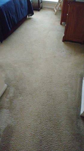 Reasonable Carpet Cleaning in Nacogdoches, TX