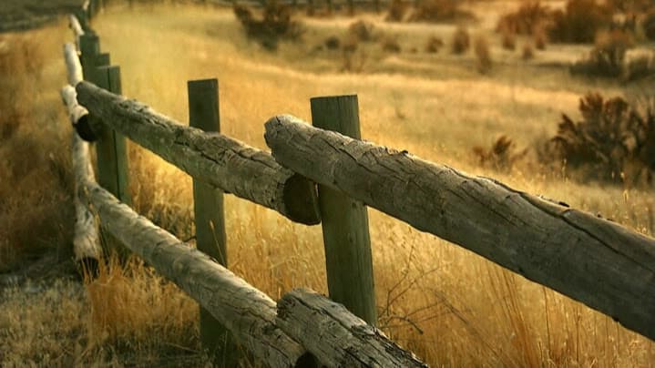 Texas Country Inspection, LLC.