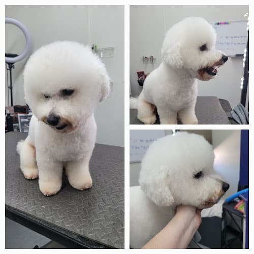 FURbabies Hotel and Spa, LLC