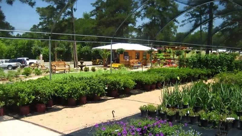 East Texas Landscaping in Nacogdoches, TX