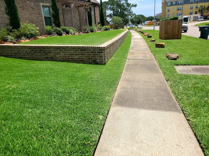 Barrientos Lawncare & Maintenance