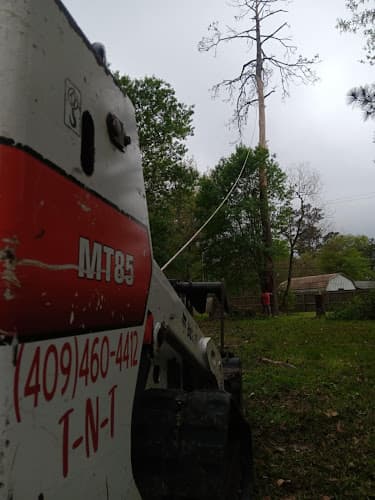 TnT tree service in Nederland, TX