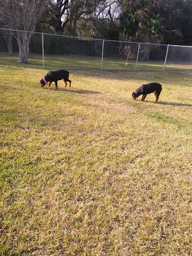 Pawhurst dog park in Orange, TX
