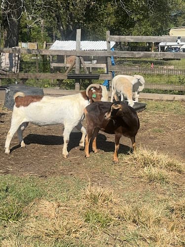 Farm & Sanctuary