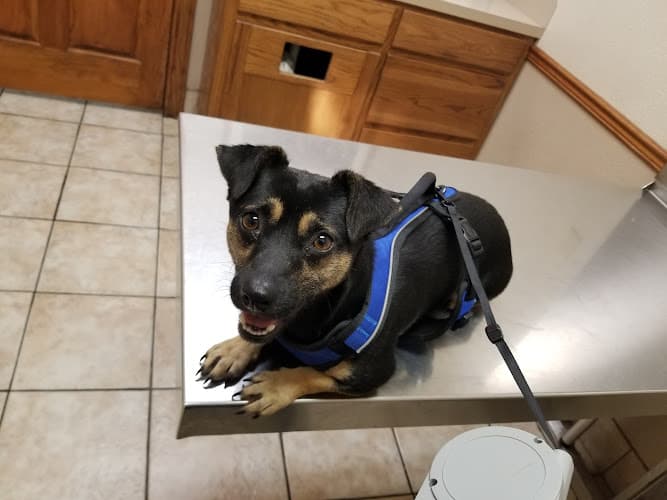 Beaumont West Animal Care in Beaumont, TX