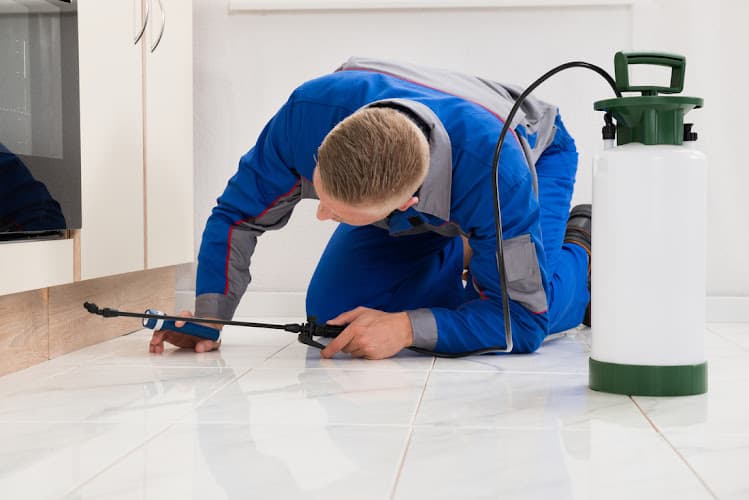Natural Pest Solutions Nederland in Port Arthur, TX
