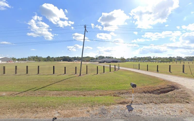 Red Stag Dirt and Tree Services in Beaumont, TX