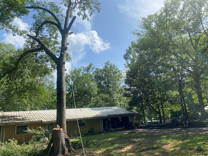 East Texas Tree Guys in Nacogdoches, TX