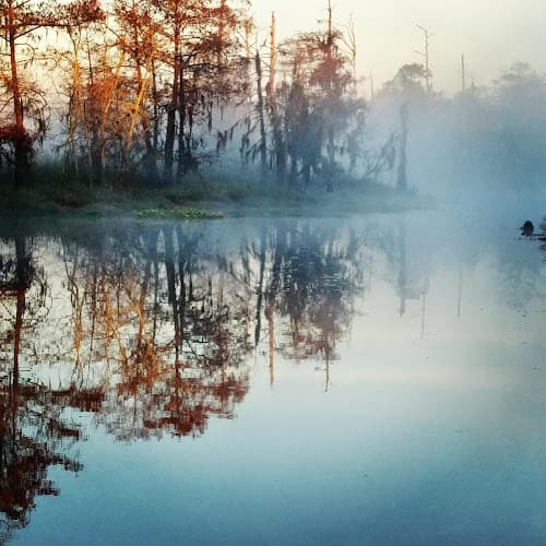 Bruce's Bayou Boat House in Orange, TX