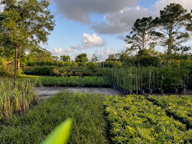 Utility Research Garden