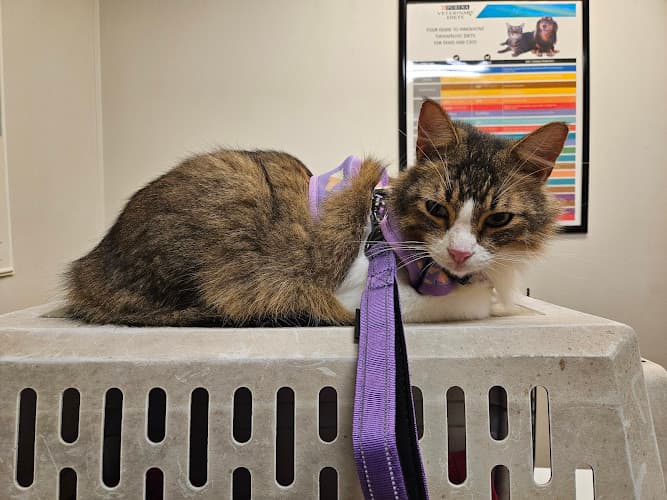 East Texas Veterinary Clinic
